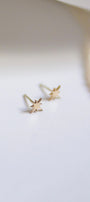 Sadie Jo Jewelry Co. Mini Star Studs