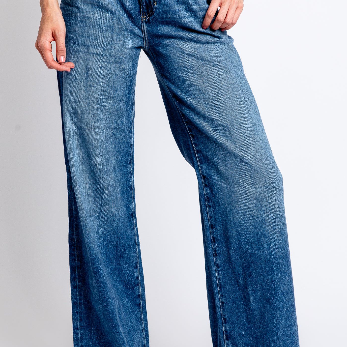 AG Jeans Pleated Stella Low Slung Palazzo