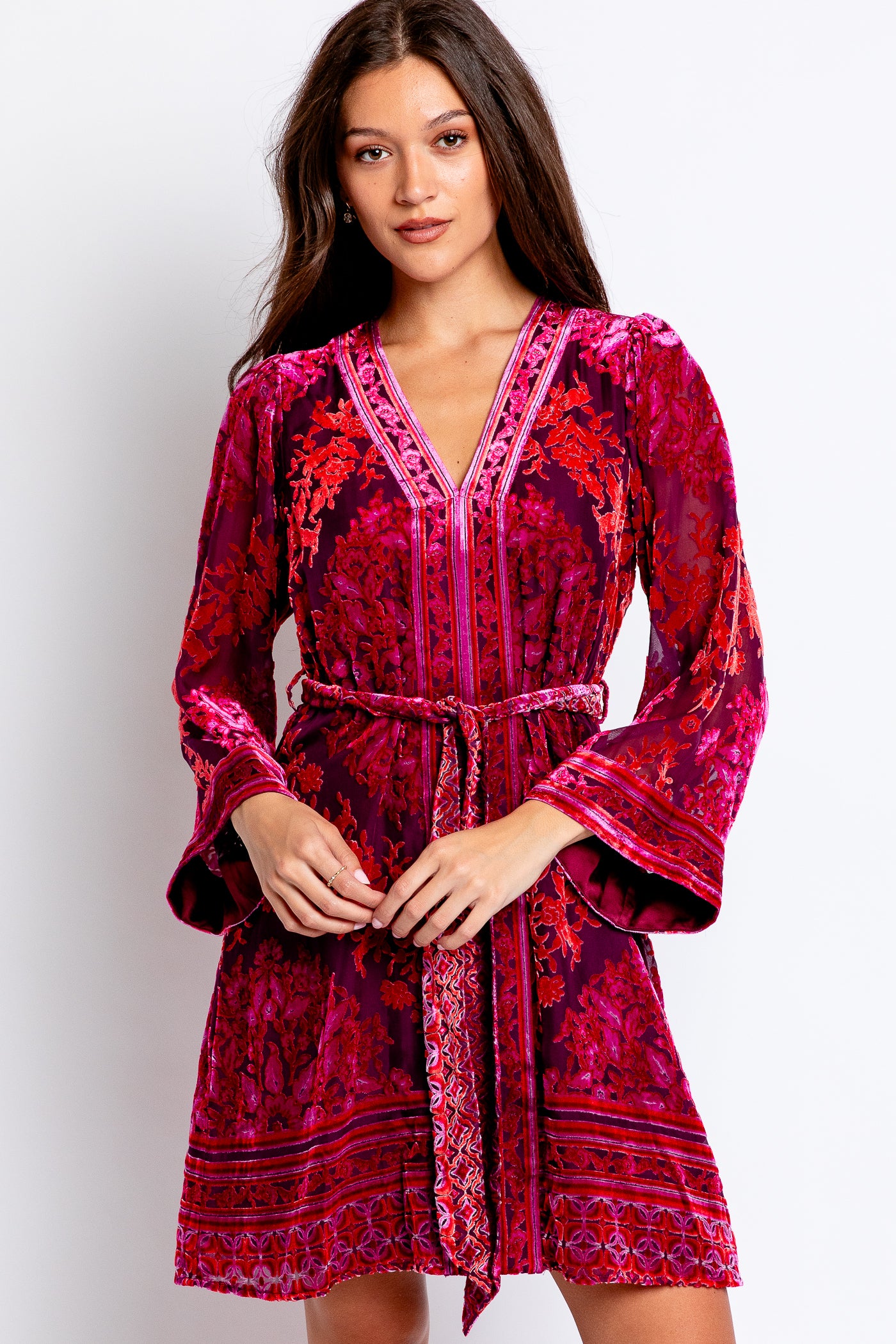Hale Bob Helena Velvet Dress