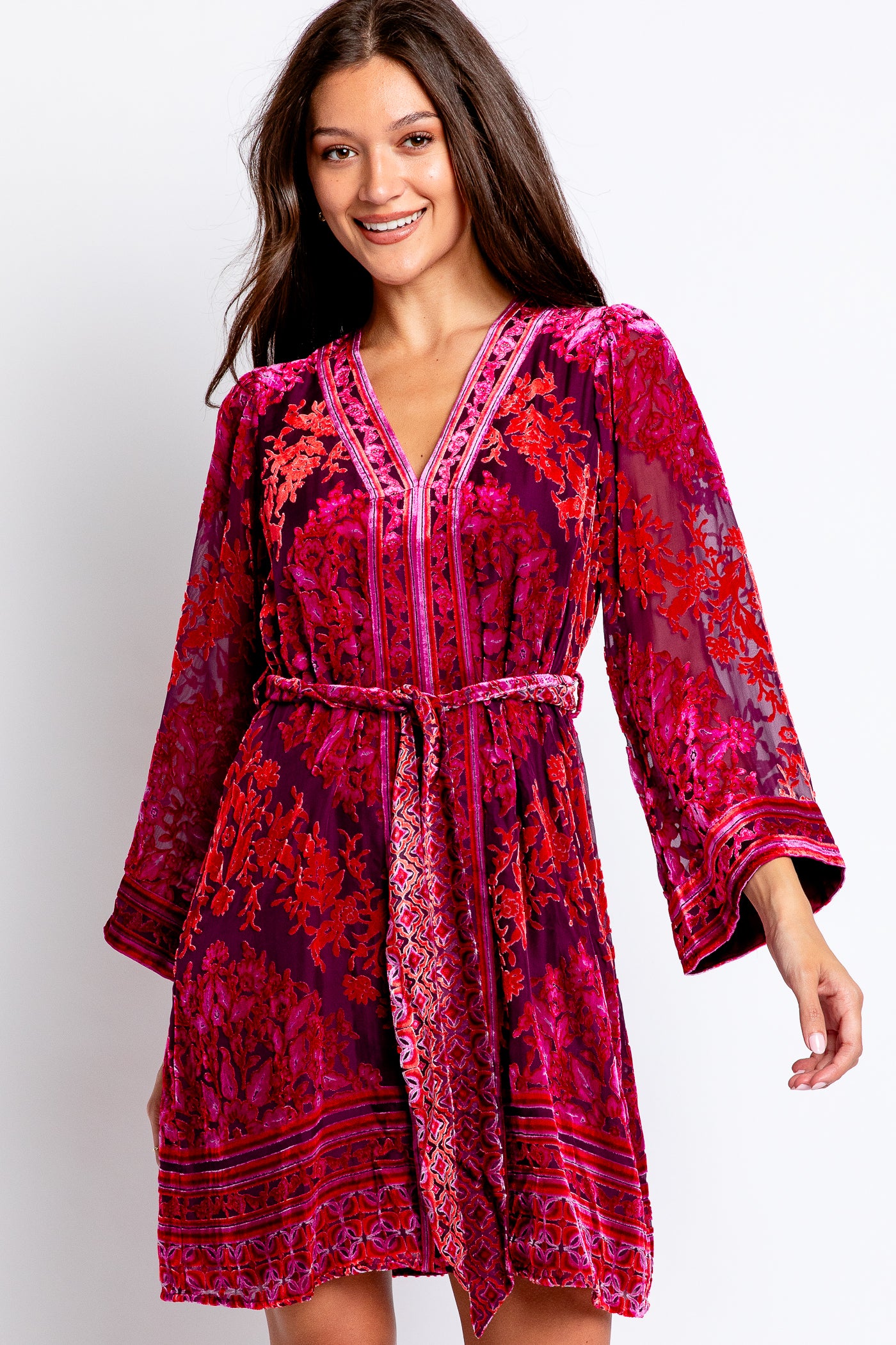 Hale Bob Helena Velvet Dress