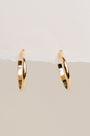Sadie Jo Jewelry Co. Domed Hoops