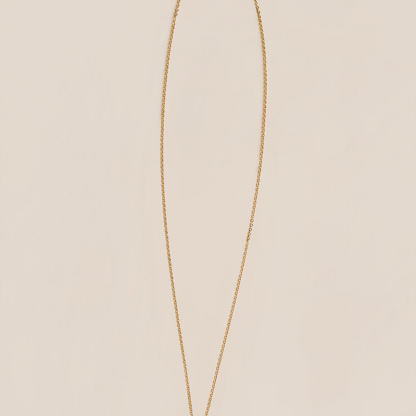Lisa Marie Jewelry Rectangle Hoop Charm Necklace