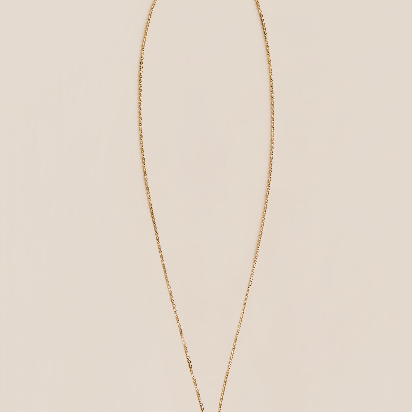 Cactus Charm Necklace