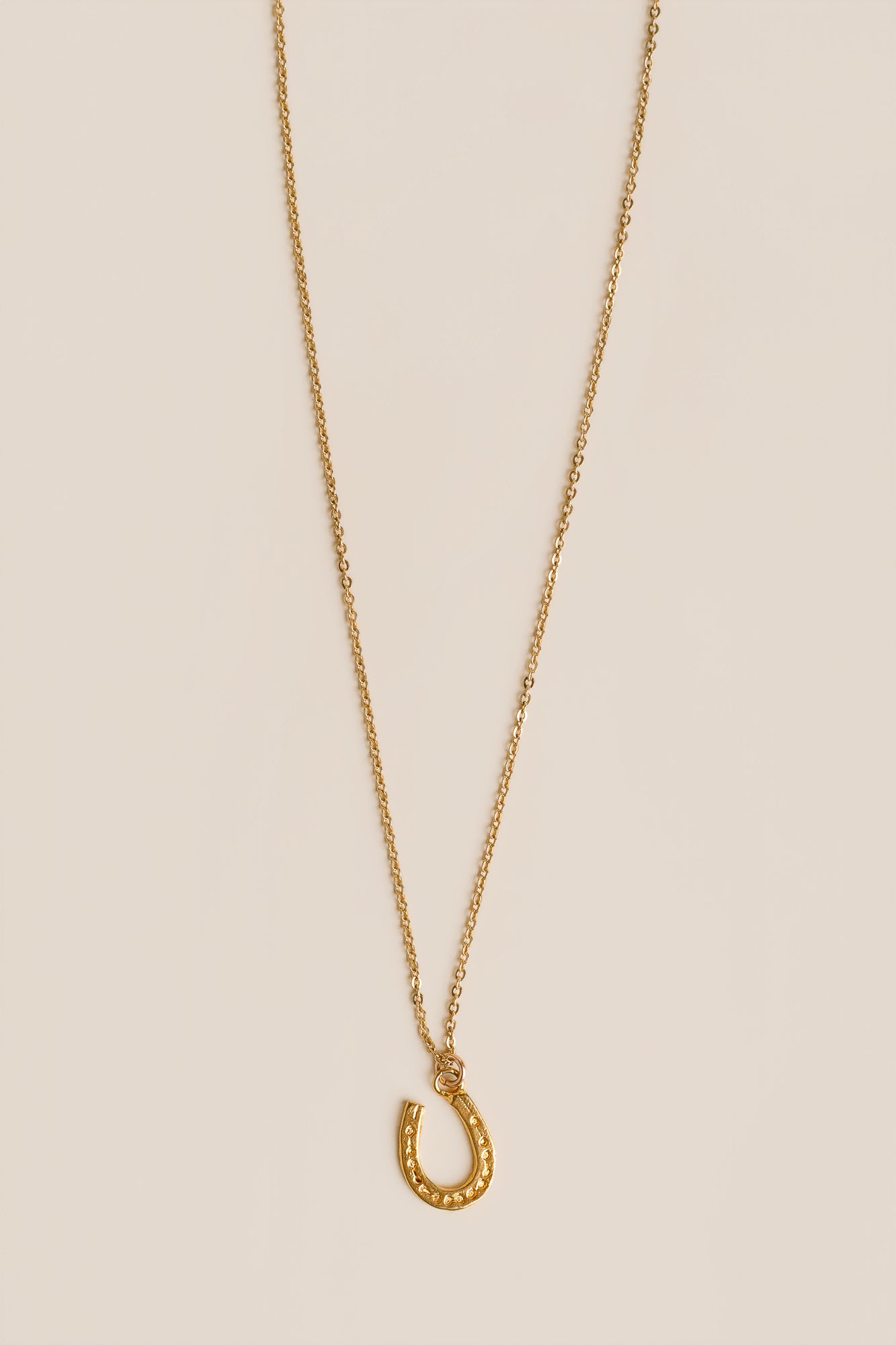 Lisa Marie Jewelry Horseshoe Charm Necklace