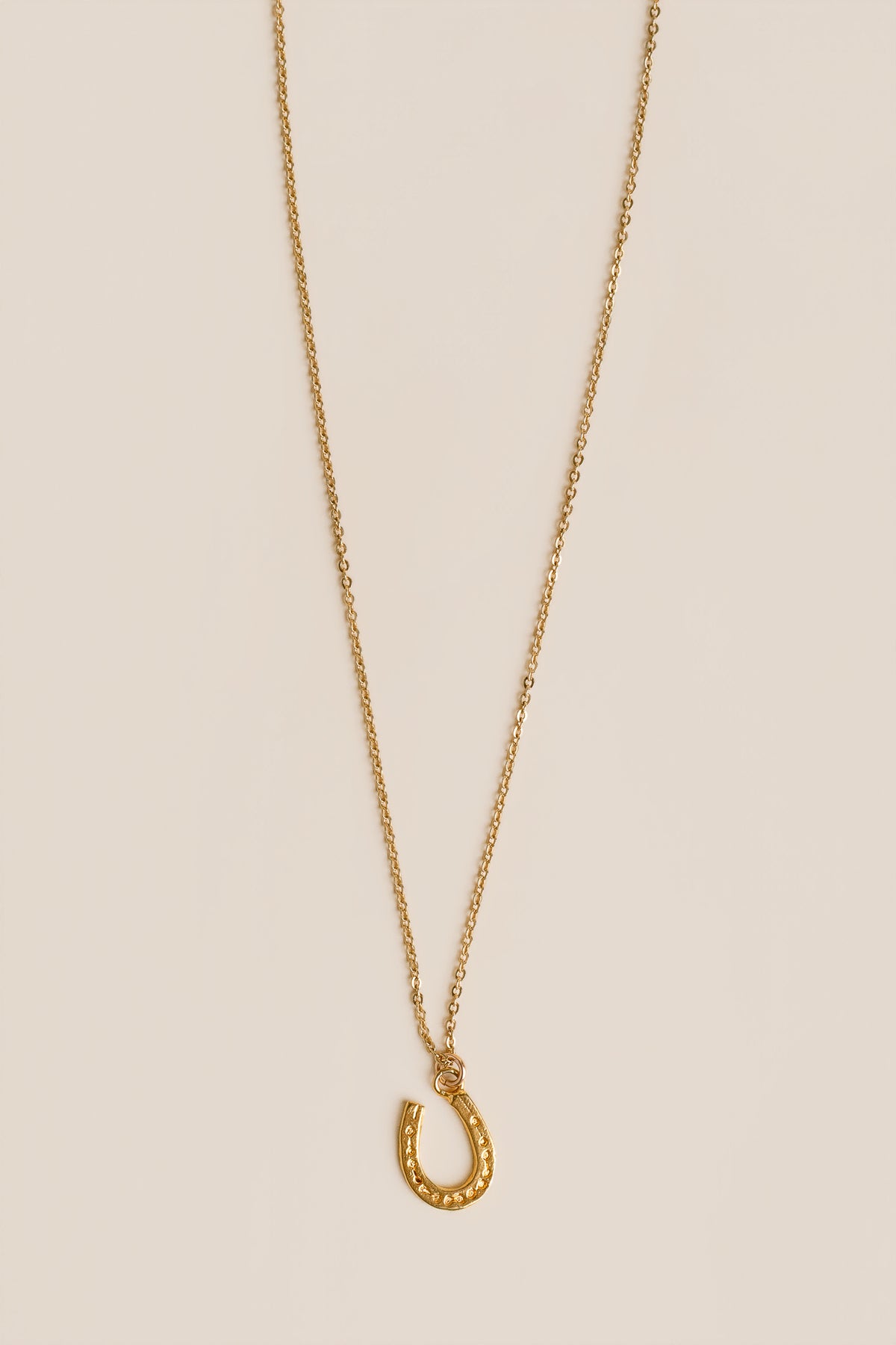 Lisa Marie Jewelry Horseshoe Charm Necklace