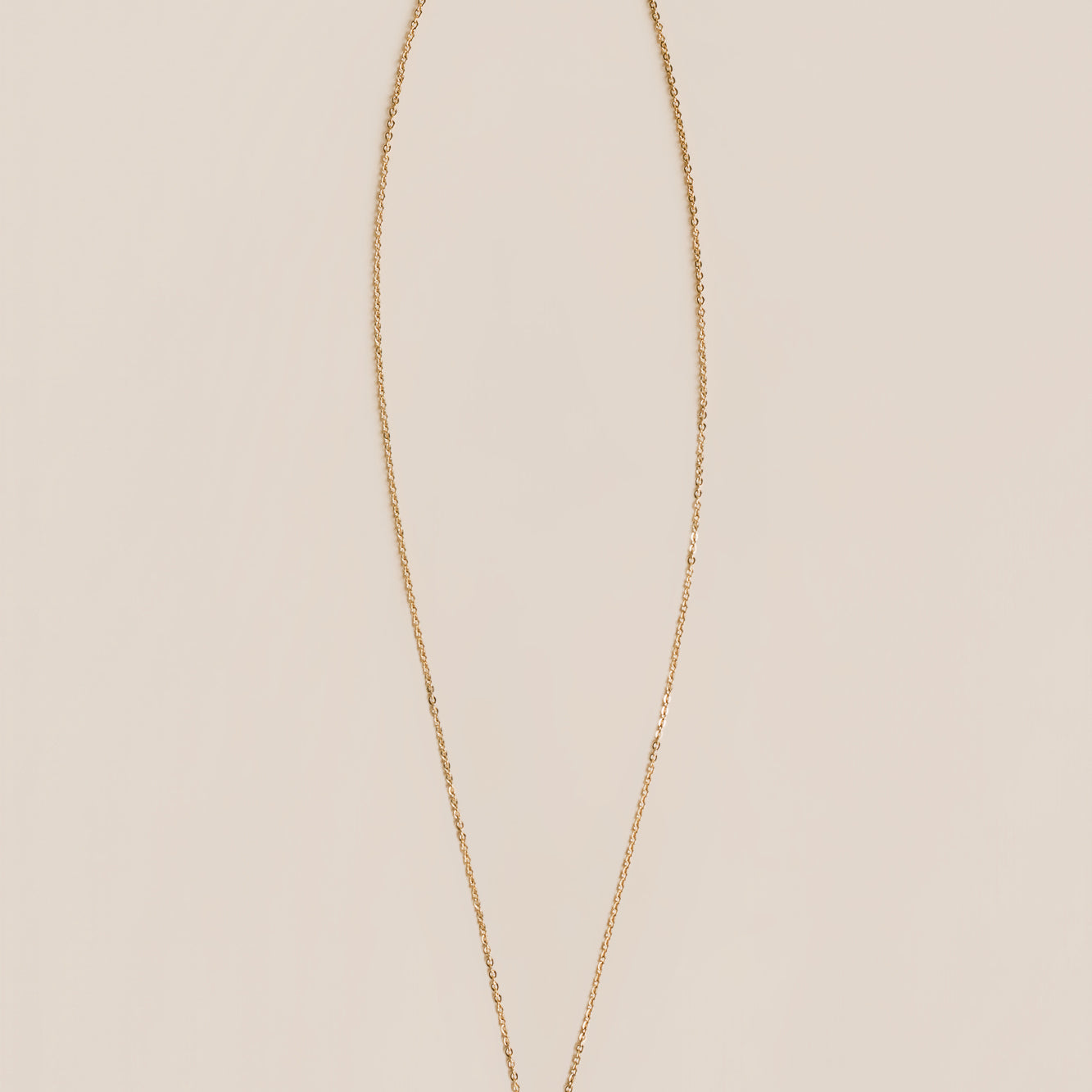 Labradorite Charm Necklace