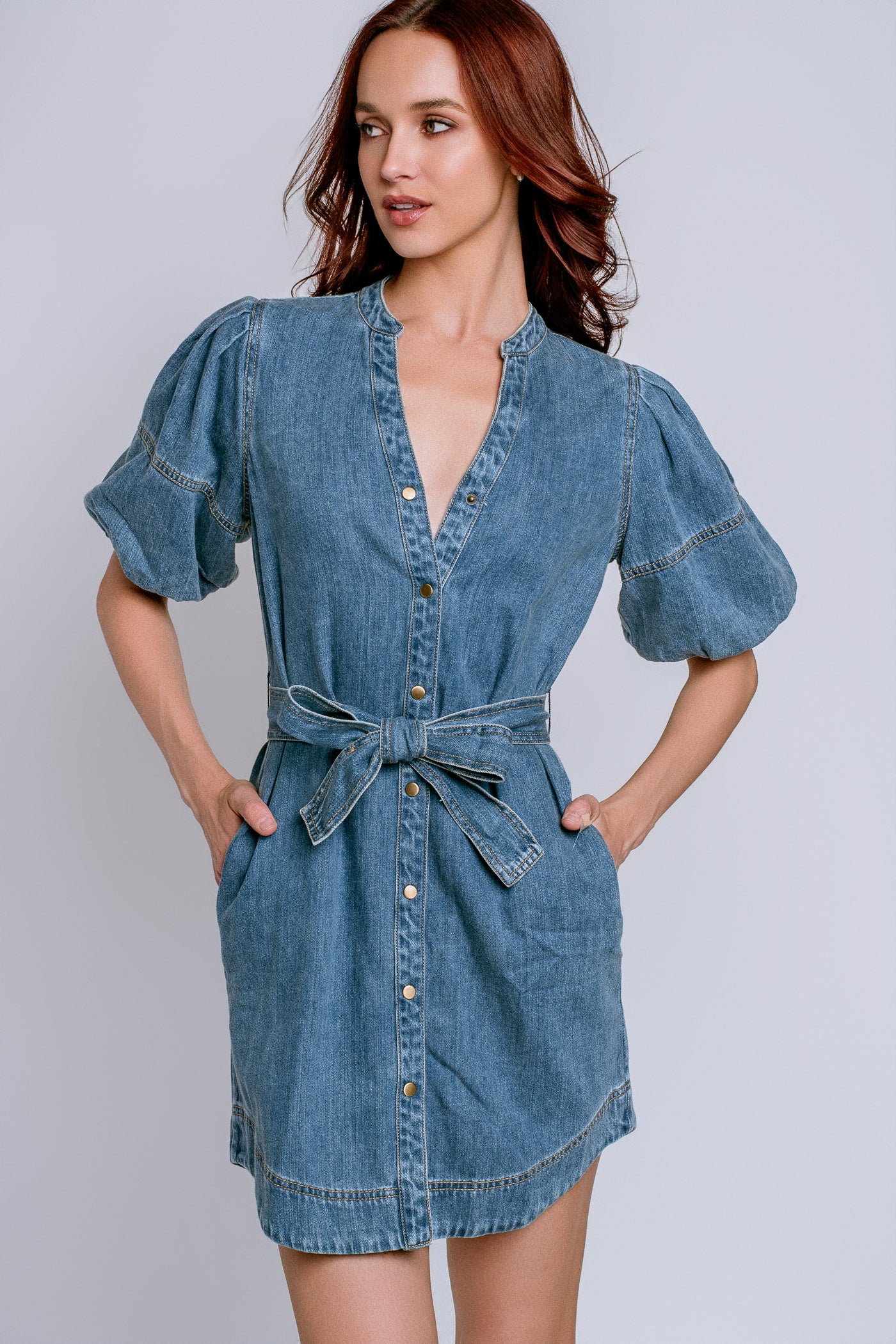 Rails Kingsley Denim Dress