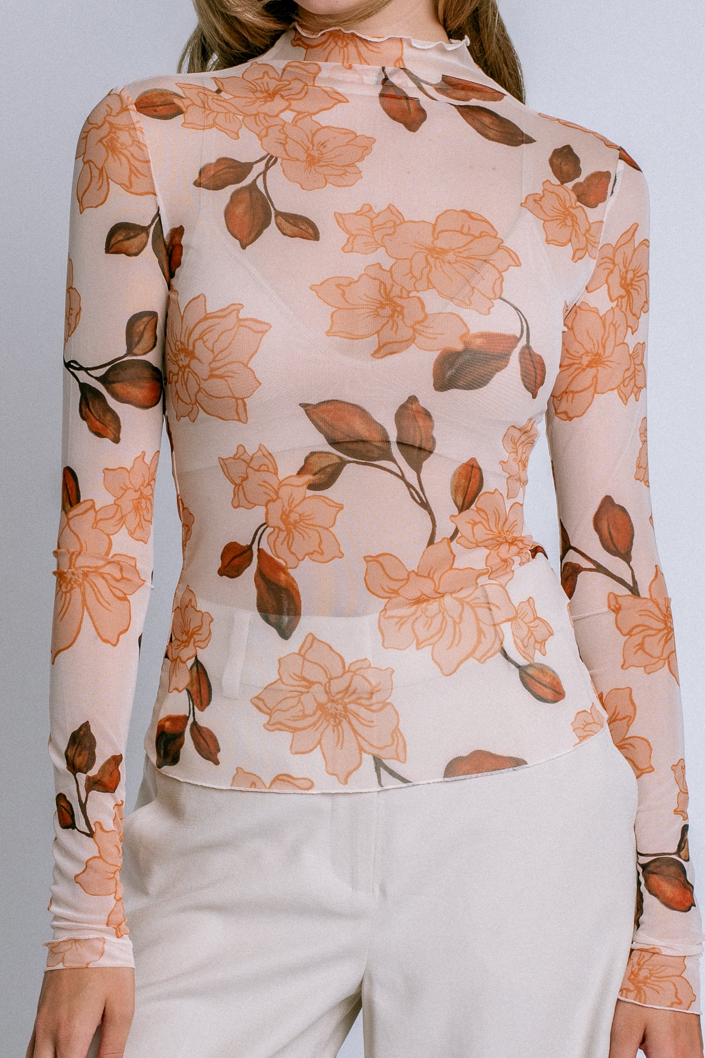 Favorite Daughter The Sheer Fantasy Top
