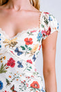 Show Me Your Mumu Nicola Dress