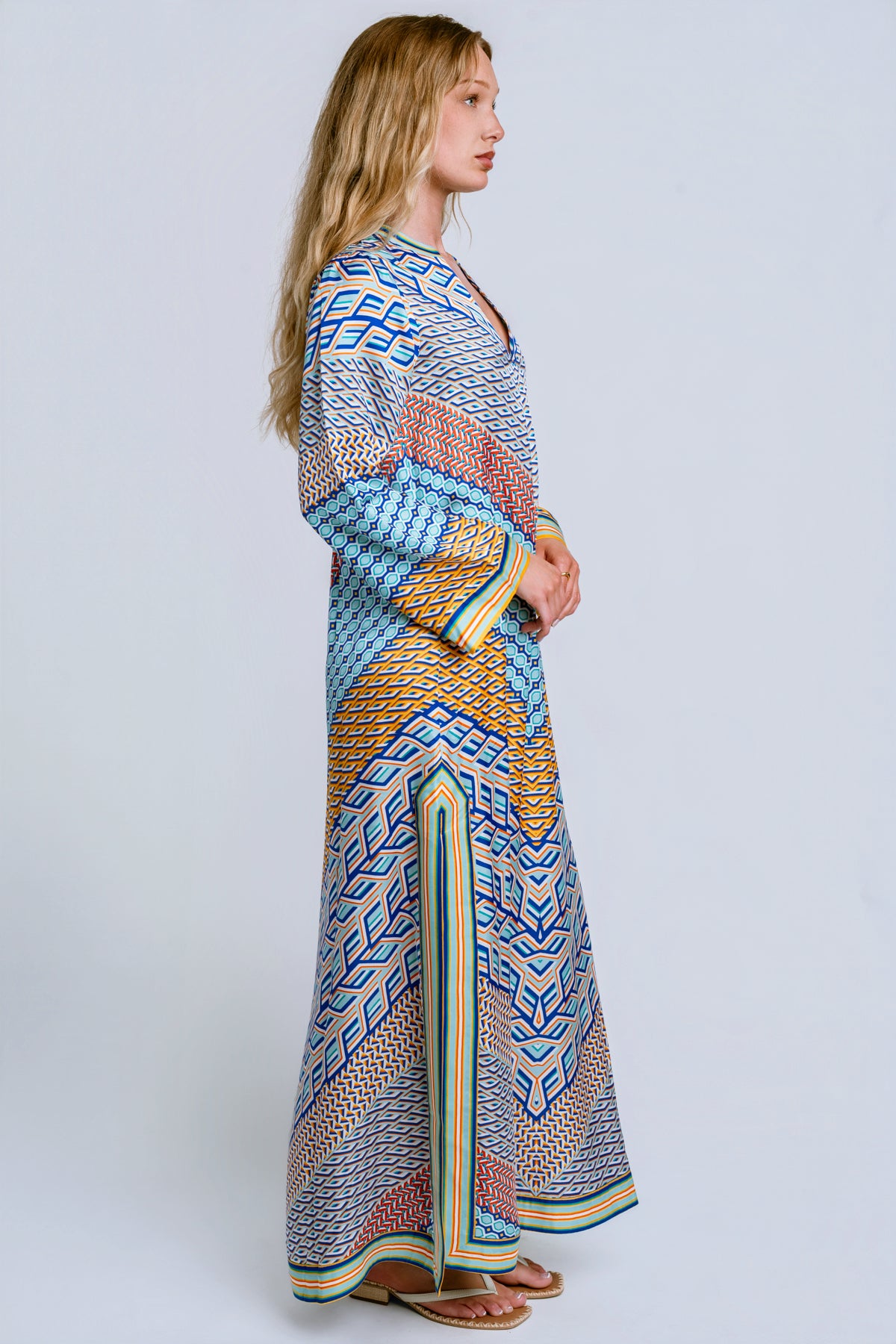 Hale Bob Aleyna Maxi Dress