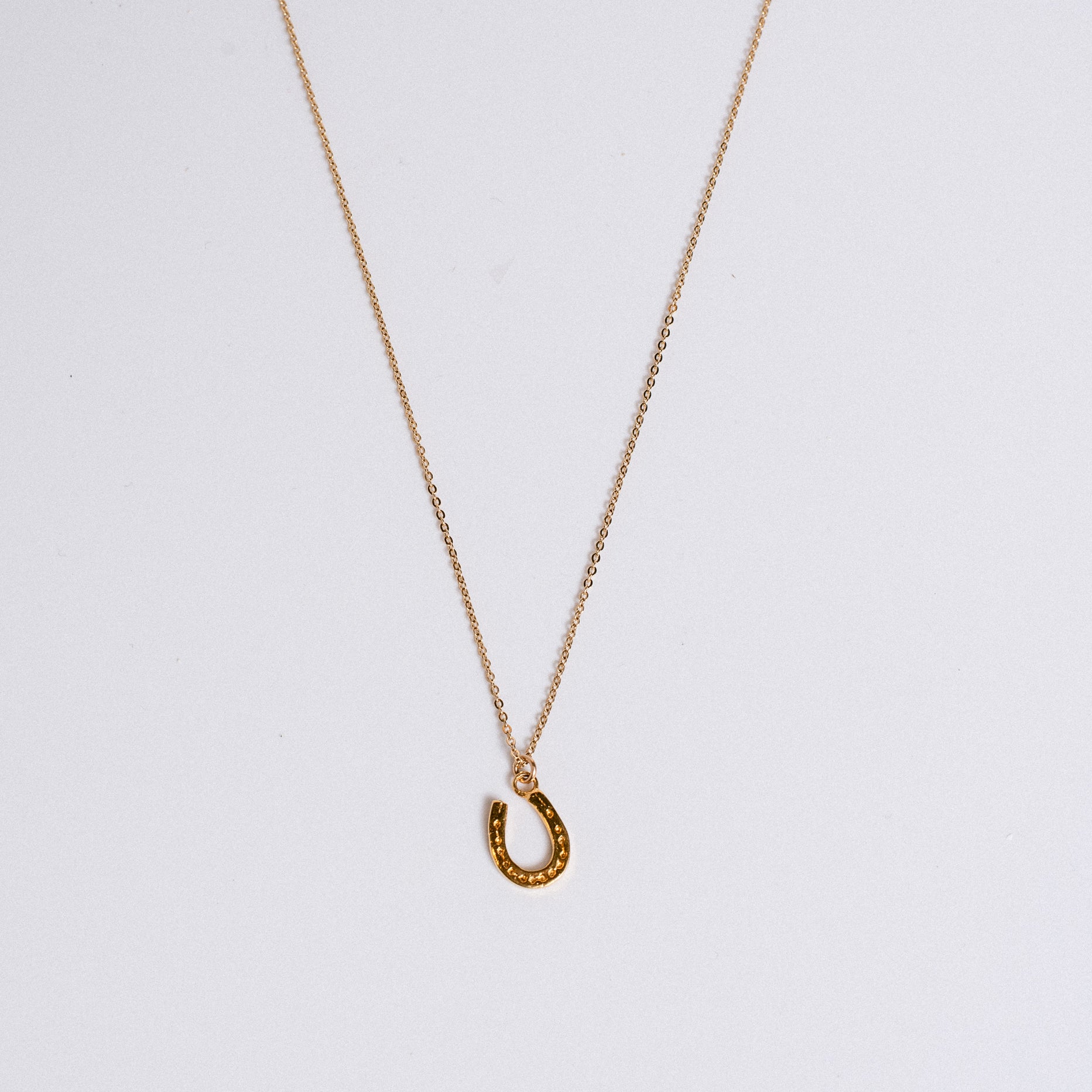 Lisa Marie Jewelry Horseshoe Charm Necklace