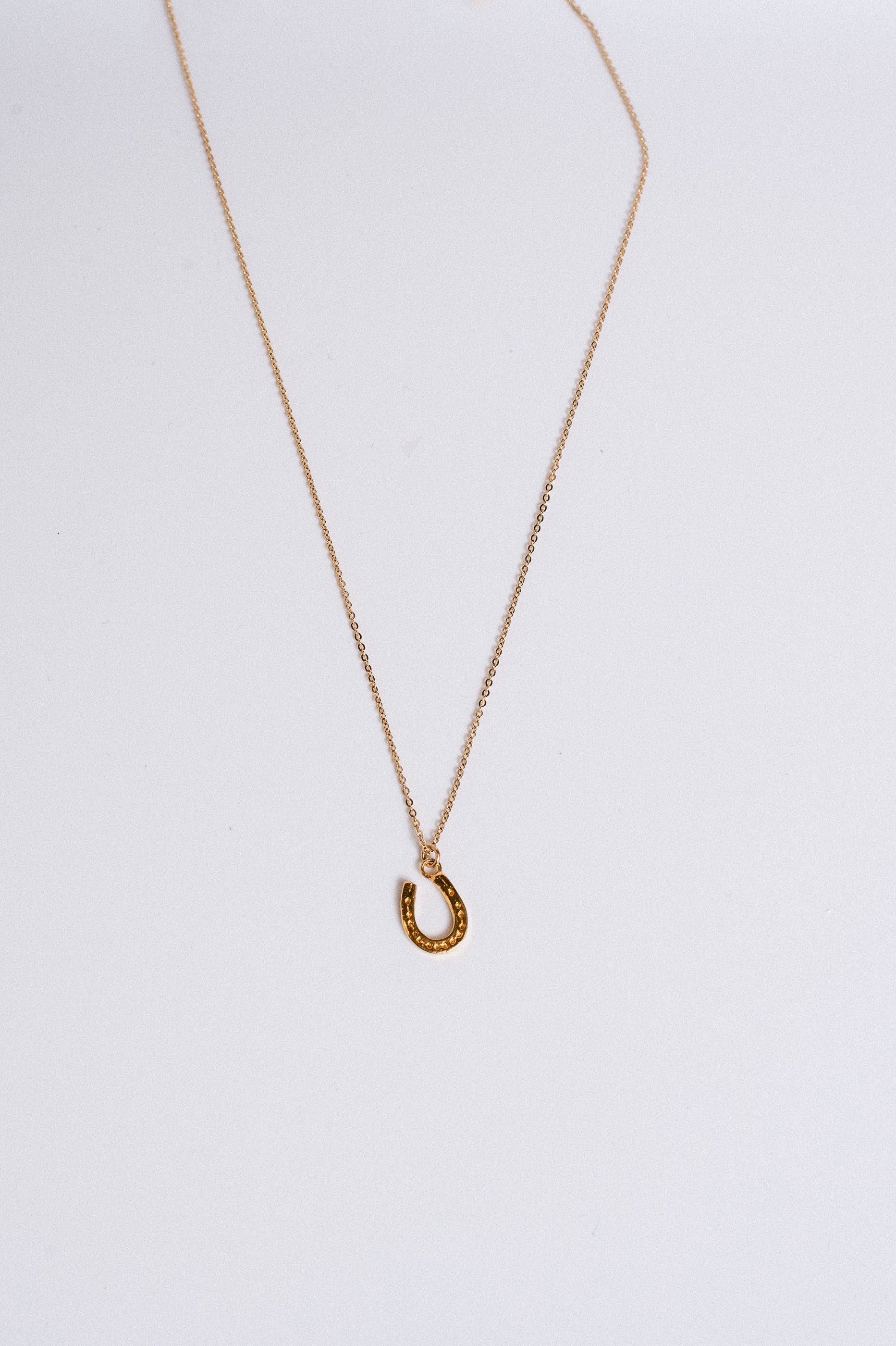 Lisa Marie Jewelry Horseshoe Charm Necklace