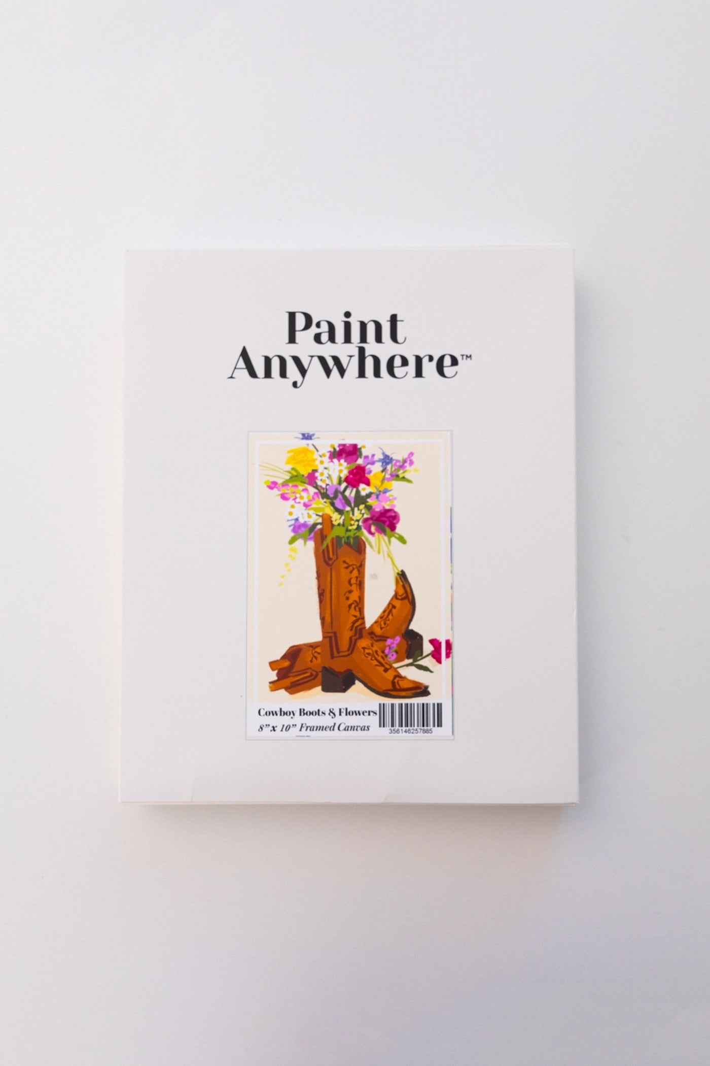 Paint Anywhere Cowboy Boots & Flowers Paint By Numbers Framed Mini