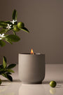 Homecourt Neroli Leaf Candle