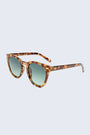 AIRE Evolution Sunglasses