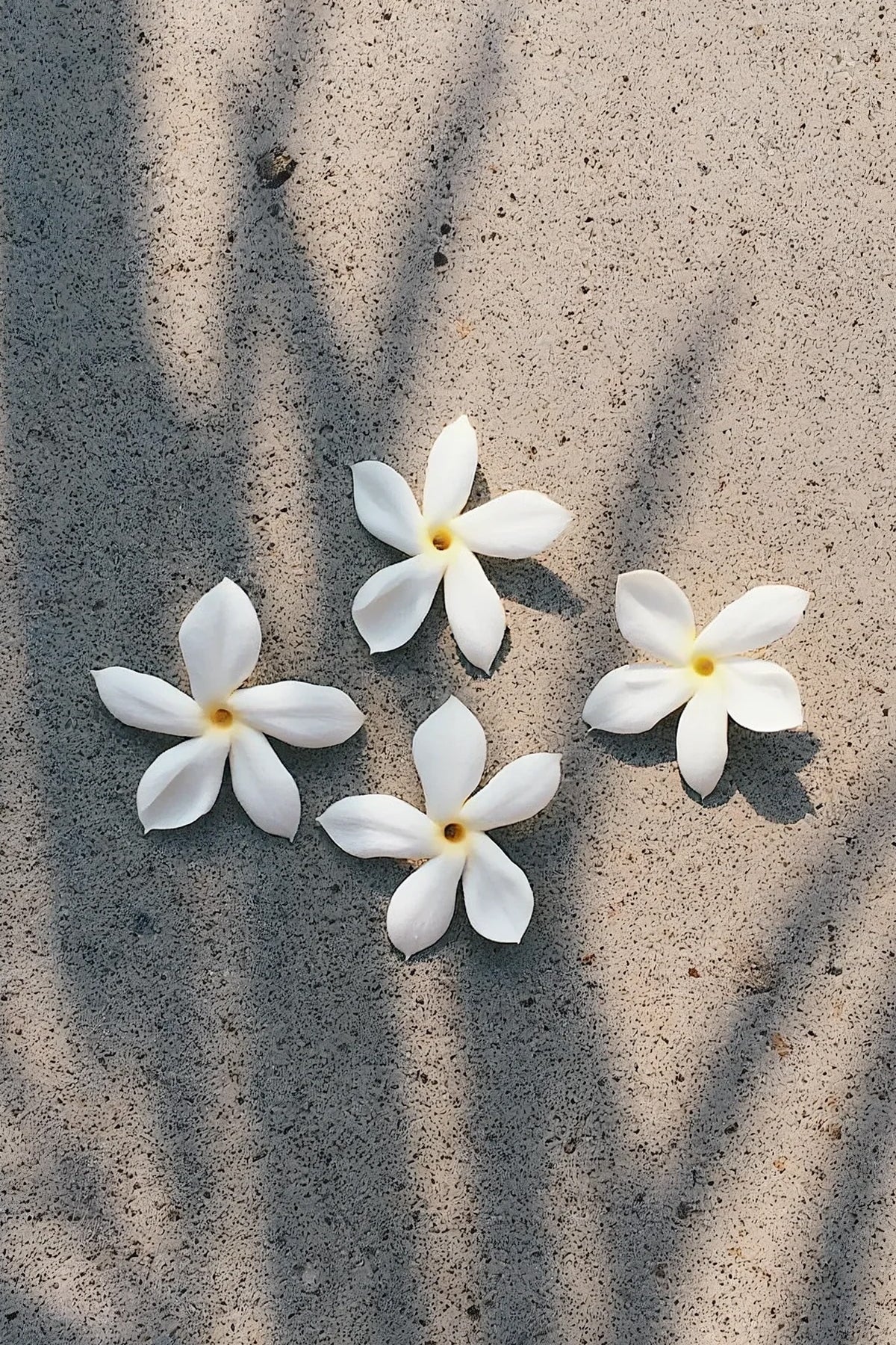 UA Hawaii Pikake Jasmine Scented Candle