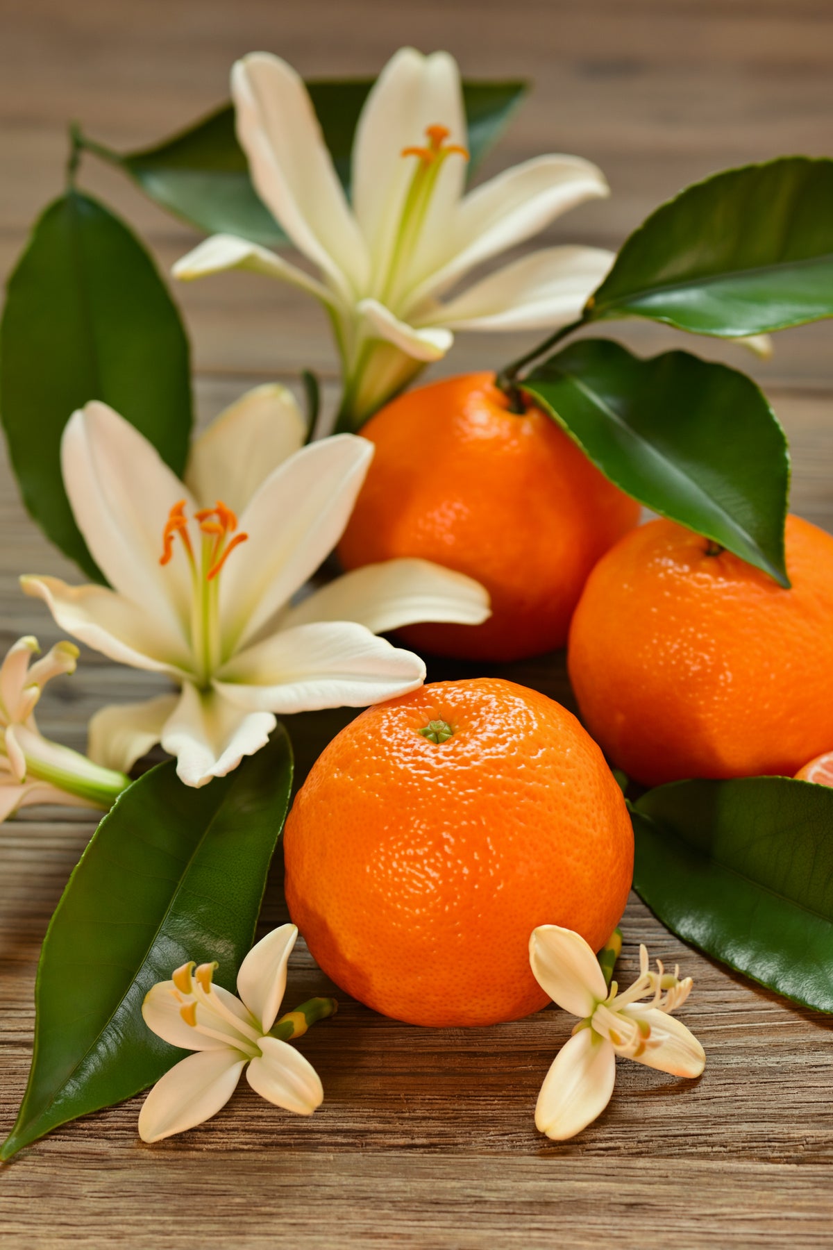 House of Mahina Neroli Blossom Candle