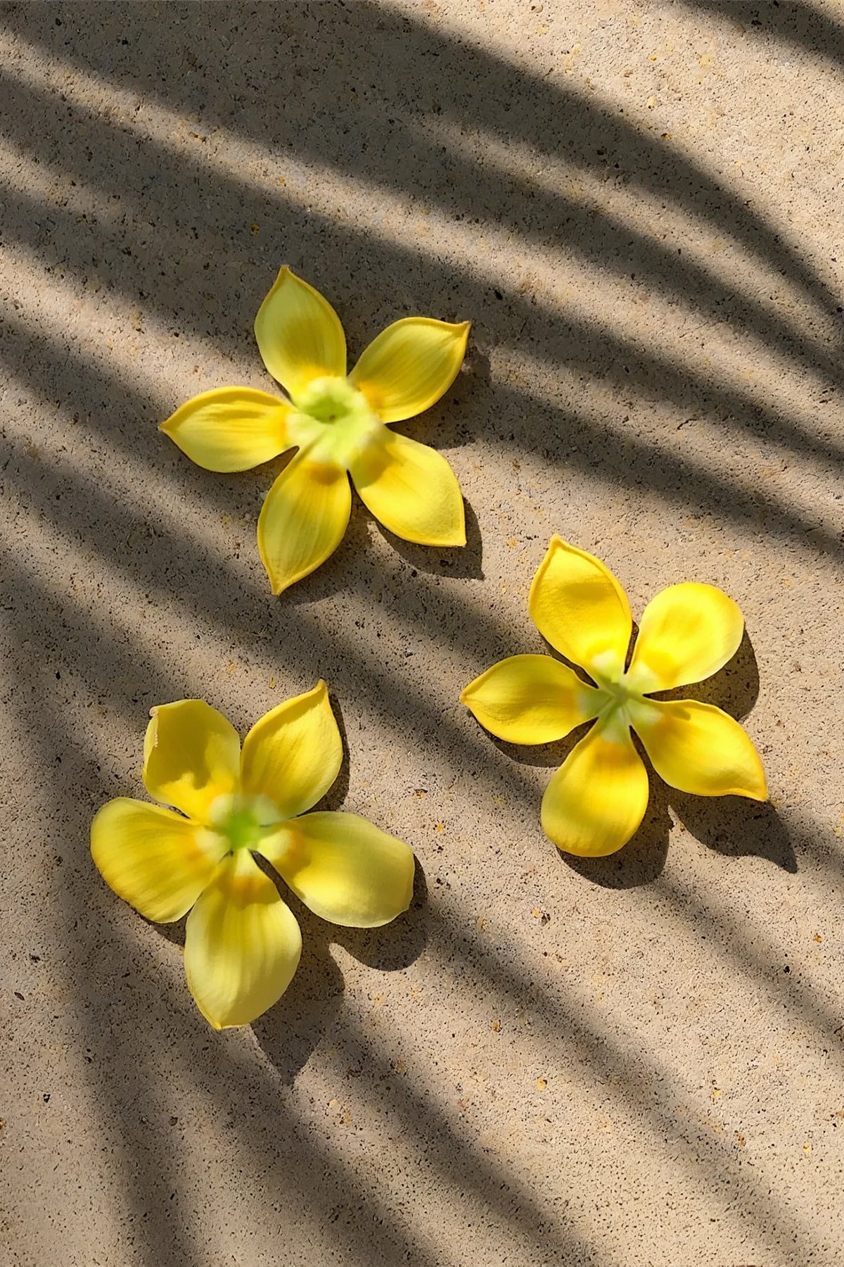 UA Hawaii Pakalana Hydrating Body & Hair Mist