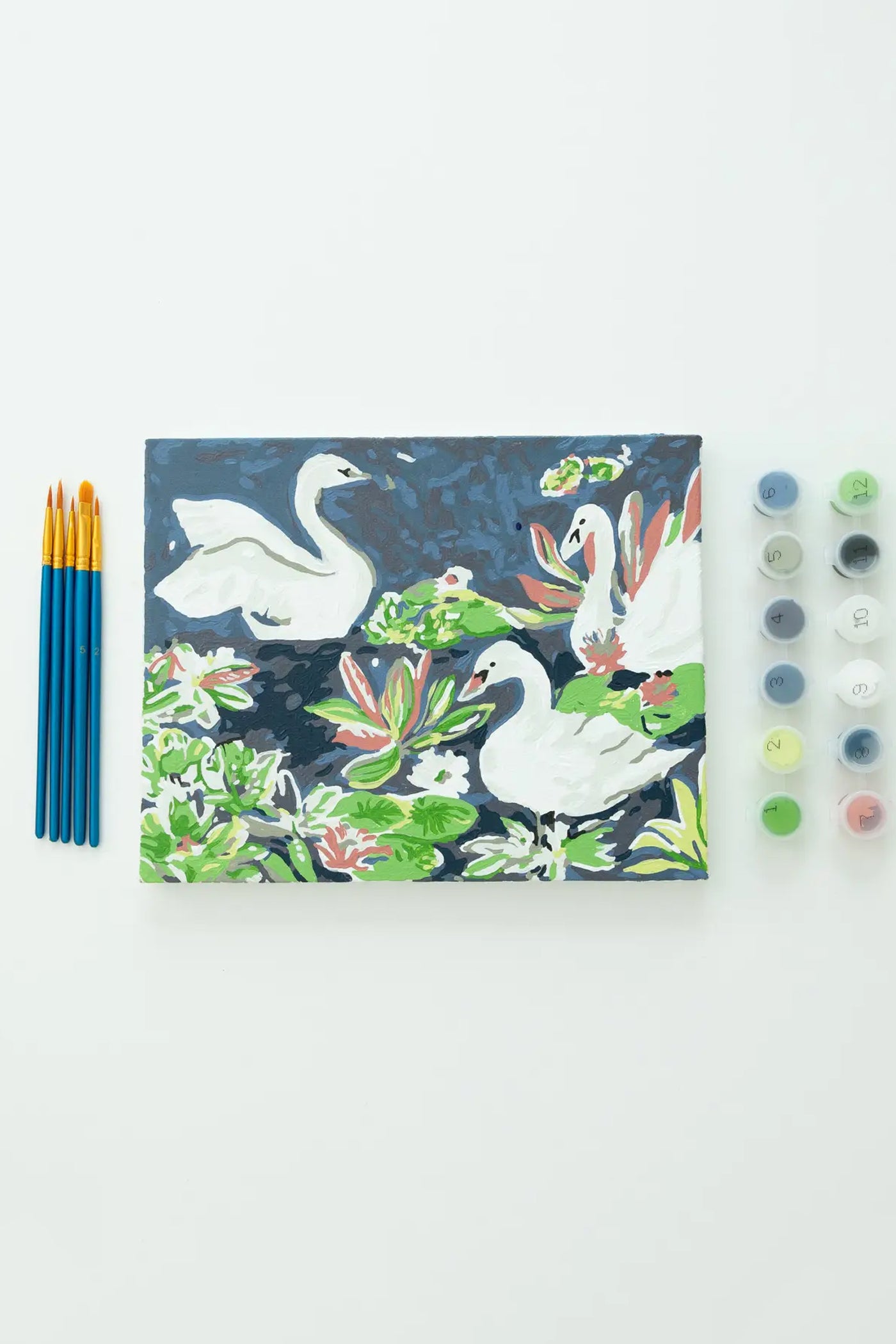Paint Anywhere Swans Paint By Numbers Framed Mini