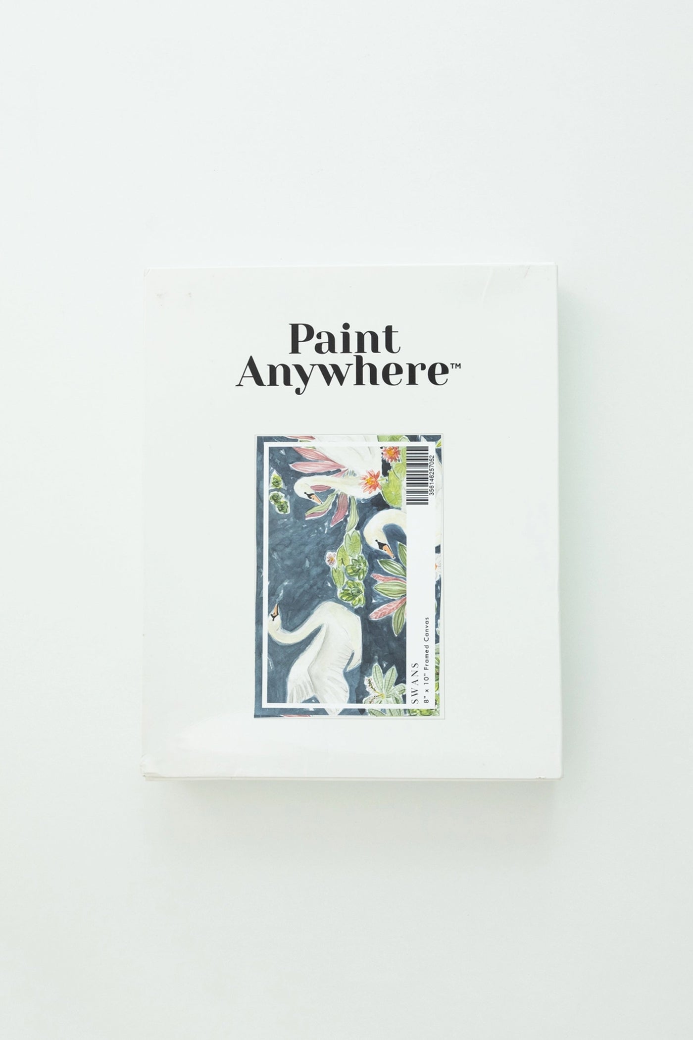 Paint Anywhere Swans Paint By Numbers Framed Mini